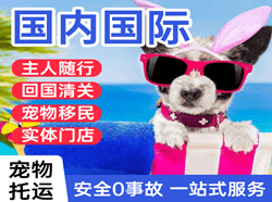 邯郸空运公司国际宠物托运 【国